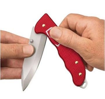 Picture of EVOKE ALOX RED